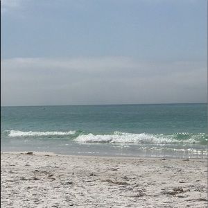 Meet your Posher, Carter